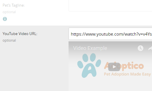 Video input on the Add a Pet page
